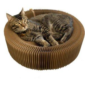 Cat Scratcher Lounge Bed - Collapsible Round Shape for Big cat